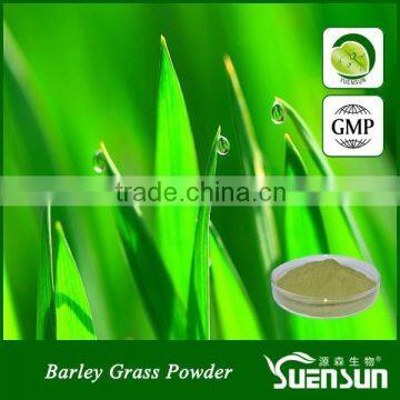 High quality and 100% pure natural water soluble barley grass powder