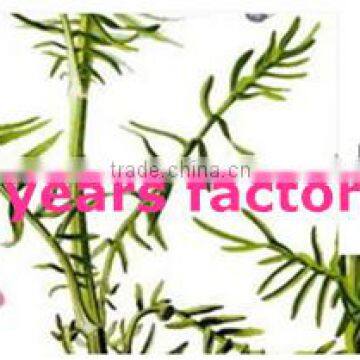 ISO 13 years factory Valerian extract valerenic acid 0.4% 0.8%