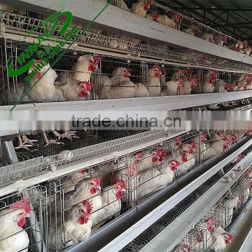 used excellent live chicken cage for sale