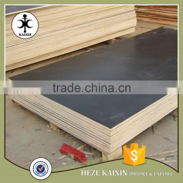 Construction grade factory directly price black film faced plywood