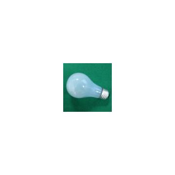 Neodymium Incandescent Bulbs