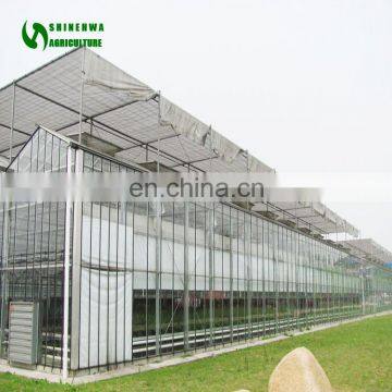 Comercial venlo glass greenhouse side ventilation/multi span glass greenhouse