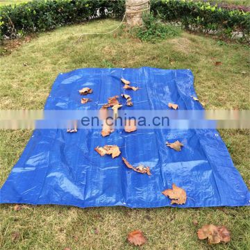 Polythene fireproof and waterproof pe tarpaulin sheet in roll