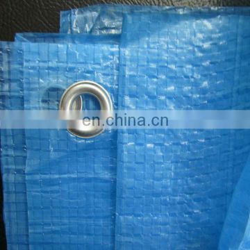 100% new material 55g light duty bule color pe fabric sheet/tarps for cover or ground sheet