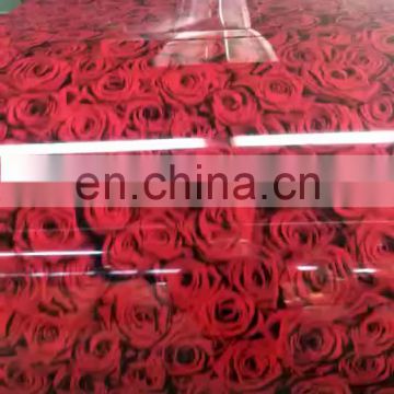 Wanteng steel high quality 0.4x1250mm PPGL prepainted steel coil for building materials