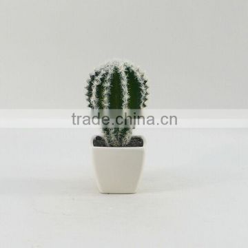New design mini potted tropical artificial plastic cactus / succulent plant