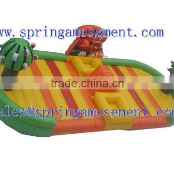 Hot sale fruit zone inflatable fun city SP-FC050