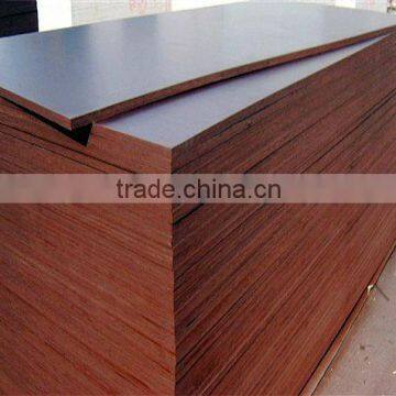 shuttering plywood good price