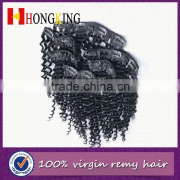 Human Hair Clip In Indian Remy Double Weft Hair Extension