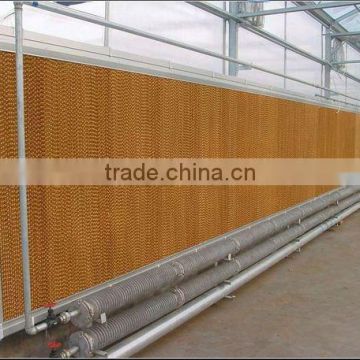 Modern Automatic Chicken Poultry Farm Equipment