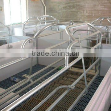 PVC Stall Elevated Pig Farrowing Crate Equipment for Pigs
