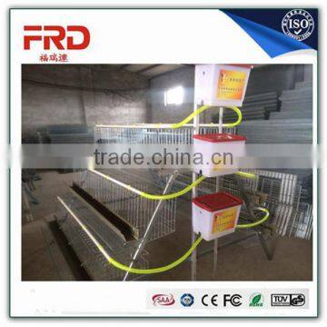 shandong factory supply wire mesh chicken cage/chicken layer cage price