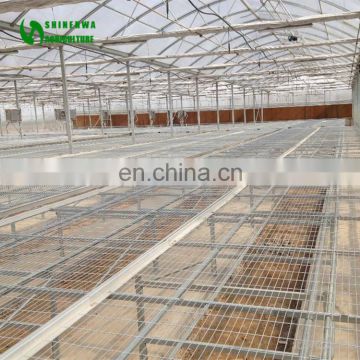 High Quality And Easy Operated Thailand Orchid Nursery Grow Nursery Bed