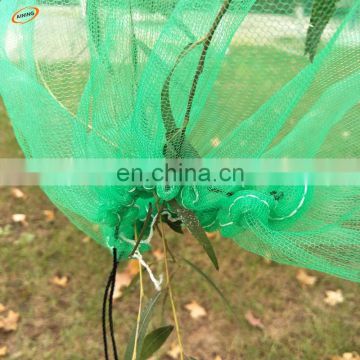 Green Color Palm Date Harvest Bag