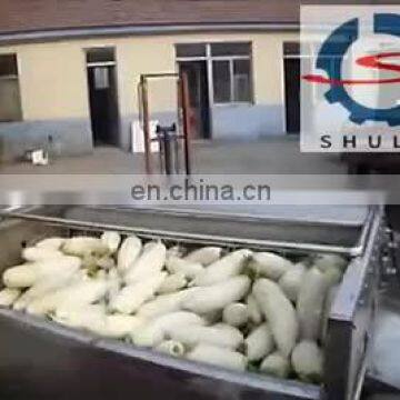 Cucumber/Radish/ Carrot/ Vegetable Washing Machine