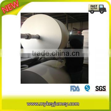 Double PE coated Paper In Sheet For Paper Cups                        
                                                Quality Choice