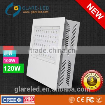 Hot Selling Cree 120W Petrol Station LED Canapy Light