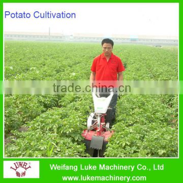 Rototiller Ridging In Sweet Potato Field