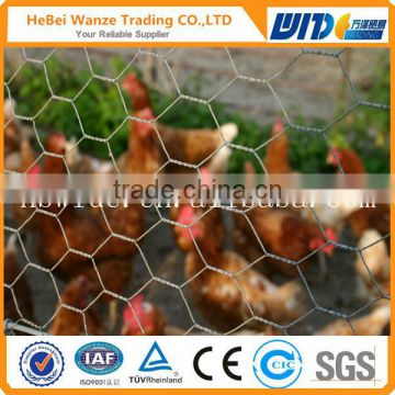 High quality hexagonal chicken wire mesh by TUV Rheinland (factory)