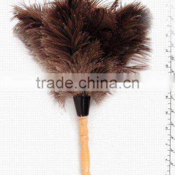 FEATHER BRUSH