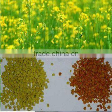 China beekeeper 100% high purity bee rape pollen