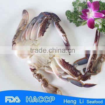 frozen blue swimming crab supplier in cartons