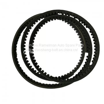 Timing belt Auto v belt OEM SVB101225/AVX10X1225/7700549230/613602/10692015 cogged v belt Ramelman timing belt