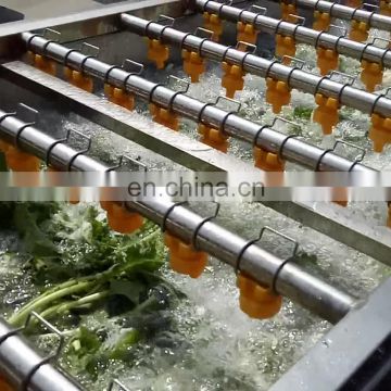 Small Scale 300kg/h Fruit and Vegetable Bubble Washing Cleaning Machine from China Factory