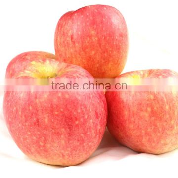 best price fuji apple
