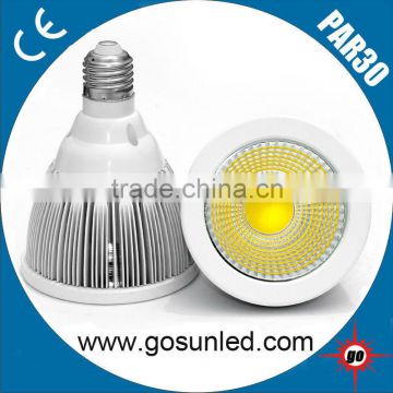Manufacturer 10W PAR30 LED COB Spotlight E27 in China