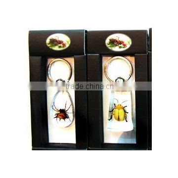 insect key ring