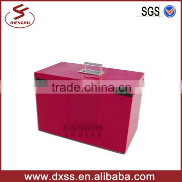 Portable mini red bull energy drink cooler box (C-020)