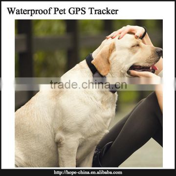2016 hot New IP66 waterproof mini pet animal pet gps tracker/ mini pet gps tracking                        
                                                Quality Choice
                                                    Most Popular