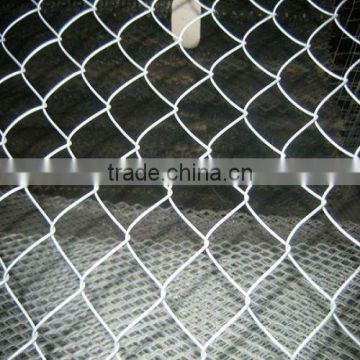 galvanized and pvc coated Chain Link Fence(factory,low price)