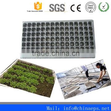 China Best Mould For Styrofoam/Eps used mould For Seeding Tray Mould