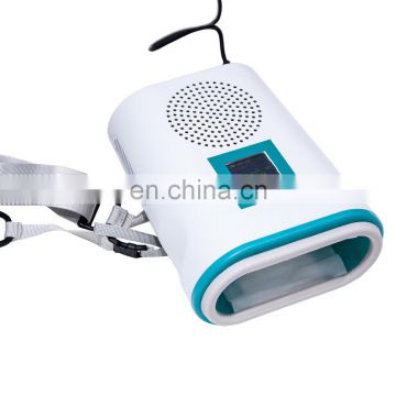 Mini cryolipolysis Frozen weight loss beauty equipment for Home use