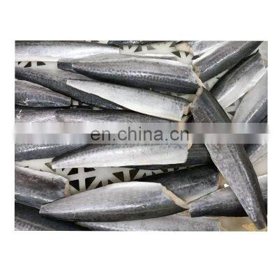 Good quality IQF frozen spanish mackerel fish fillet