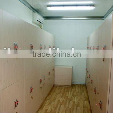 Professional maunfacturer container house decoration