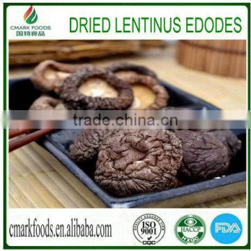 Natural edible dried lentinus edodes mushroom