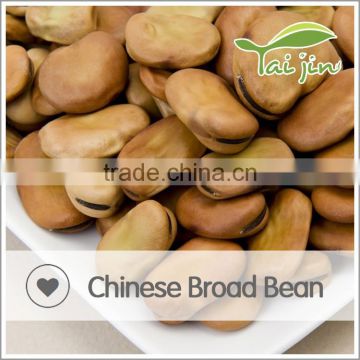 Factory wholesale provide broad beans with competitive price