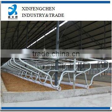 stainless steel dairy cow stall for sale