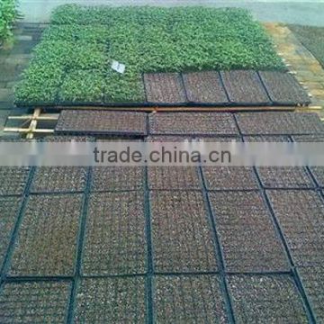 New product Fast Delivery seedling tray for rice greenhouse