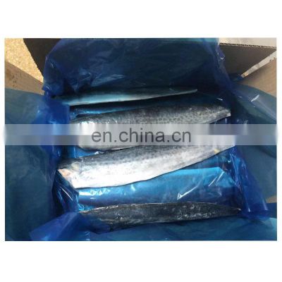 Wholesale Frozen Spanish Mackerel Fish Fillet