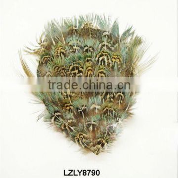 Ringneck Pheasant green blue almond pad LZLY8790