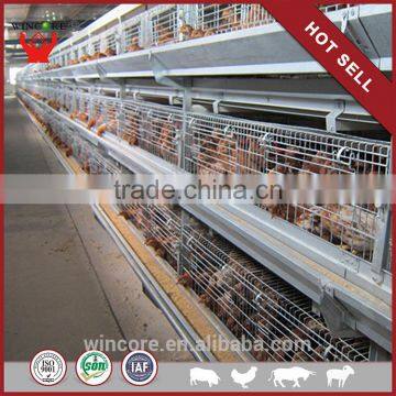 Wholesale High Quality Automatic Chicken Cage For Sale