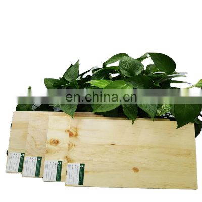 Cheap Price 18mm Cdx Pine Ply wood 12mm 15mm 18mm Knotty Pine Plywood For Construction