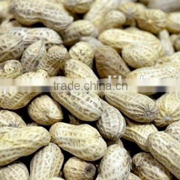 artificial peanut