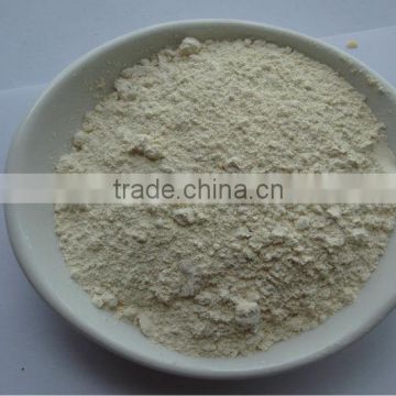 favorable price for horseradish powder 80-100mesh