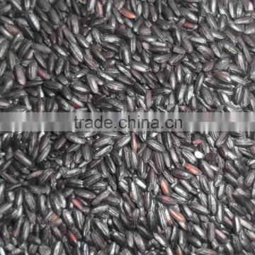Chinese Black Rice with best quality
