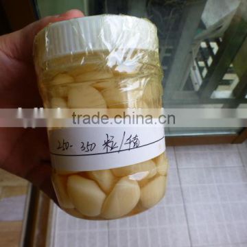 Garlic in brine 250-350 Garlic cloves